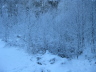 Winter2009