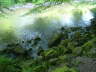 DSCF5006